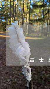 富士康十連跳