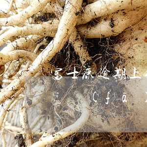 富士康逾期上征信嗎(富士康會(huì)推遲發(fā)工資嗎)