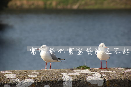 富宝贷吧（富宝贷款还不起怎么办）