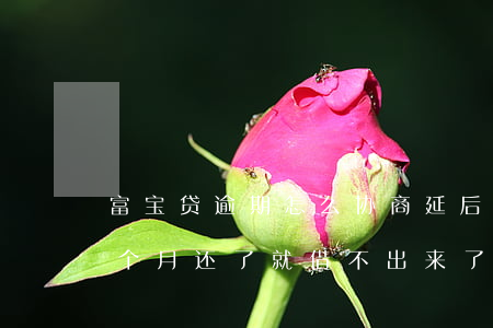 富宝贷逾期怎么协商延后还款(富宝贷逾期一个月还了就借不出来了吗?)