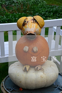 富宝逾期会被起诉吗(富宝逾期会被起诉吗)