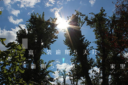 富寶袋逾期5天打電話給家里人嗎-富寶袋逾期5天打電話給家里人嗎是真的嗎