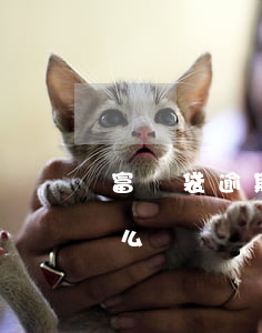富寶袋逾期會被起訴么(富寶袋逾期會被起訴么)
