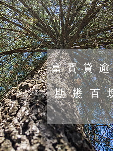 富寶貸逾期幾百塊事務所打電話-富寶貸逾期幾百塊事務所打電話是真的嗎