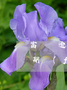 富寶貸逾期發(fā)短信說起訴（富寶貸逾期發(fā)短信說起訴）
