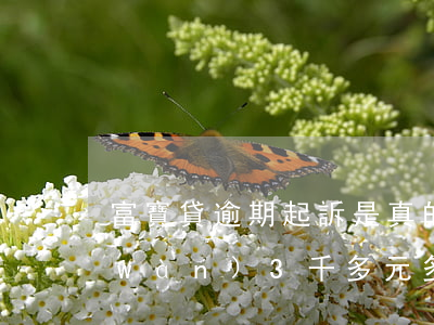 富寶貸逾期起訴是真的嗎 富寶貸逾期1萬(wàn)3千多元多久會(huì)上門(mén),起訴