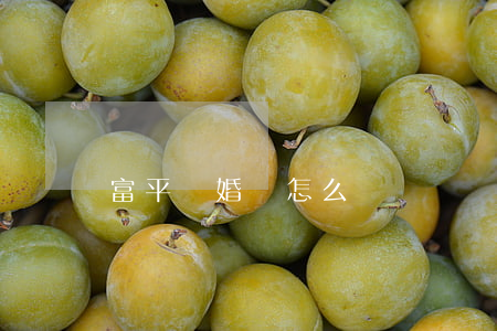 富平離婚證怎么辦