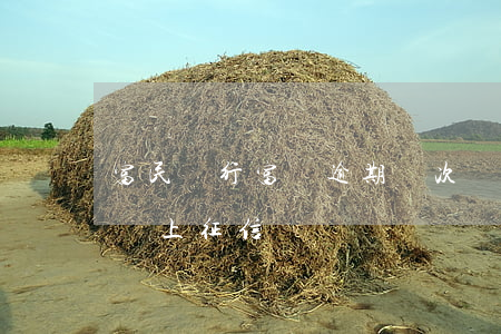 富民銀行富條逾期兩次還能使用嗎-富民富條上征信嗎
