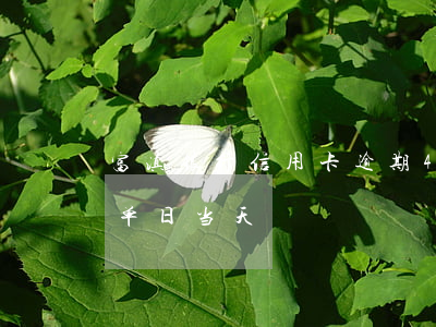 富滇银行信用卡逾期4天(富滇银行信用卡账单日当天)
