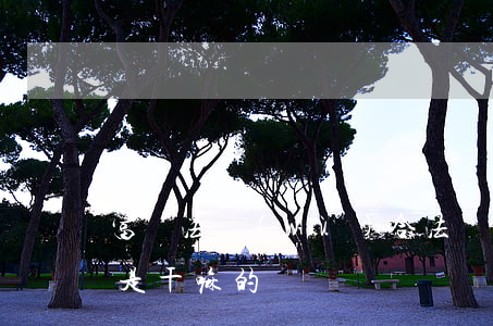 富貓法務(wù)合法嗎(富貓法務(wù)是干嘛的)