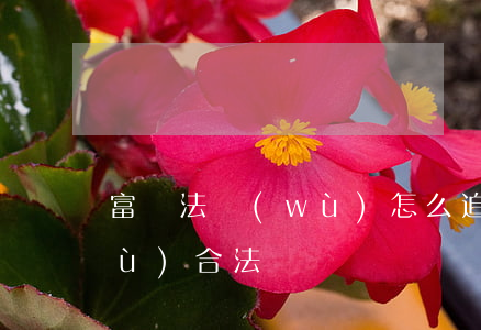 富貓法務(wù)怎么追息的 富貓法務(wù)合法嗎