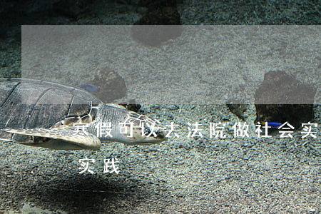 寒假可以去法院做社会实践吗(大学生去法院实践)