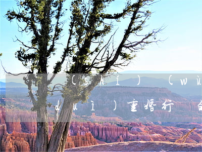 實(shí)務(wù)干貨！ 人民法院對(duì)“重婚”行為的認(rèn)定