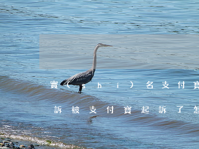 實(shí)名支付寶賬號(hào)被起訴(被支付寶起訴了怎么辦被支付寶起訴有人坐過牢嗎)
