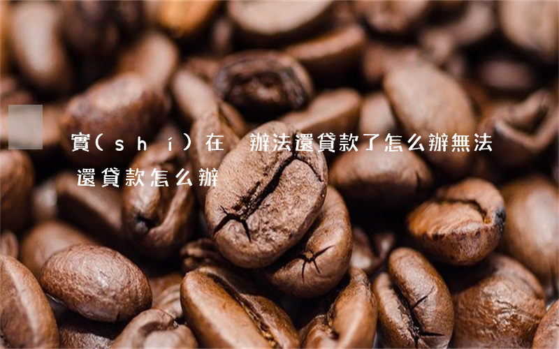 實(shí)在沒辦法還貸款了怎么辦(無法還貸款怎么辦)