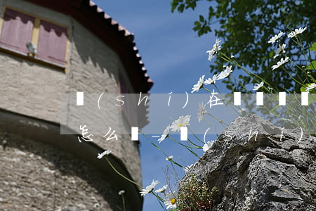 實(shí)在沒錢還網(wǎng)貸了怎么辦-實(shí)在沒錢還網(wǎng)貸了怎么辦啊