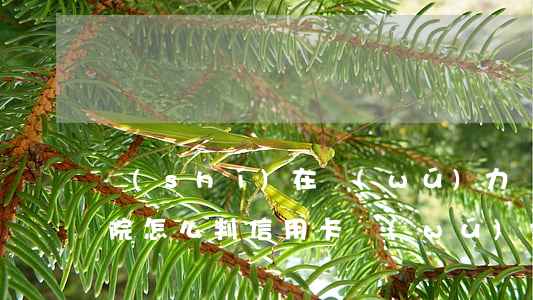 實(shí)在無(wú)力償還信用卡,法院怎么判（信用卡無(wú)力償還模板）