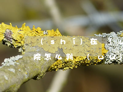 實(shí)在無(wú)力償還信用卡,法院怎么判（無(wú)力償還信用卡的對(duì)策）