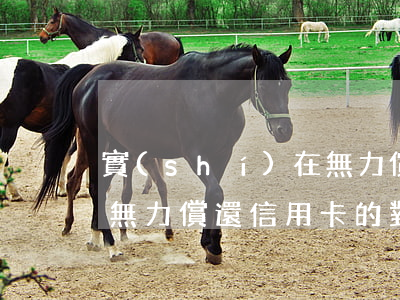 實(shí)在無力償還信用卡,法院怎么判（無力償還信用卡的對策）