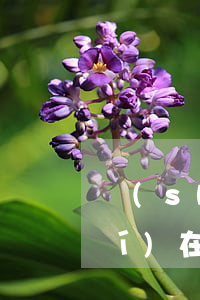 實(shí)在貸不了款怎么辦-實(shí)在貸不了款怎么辦呀