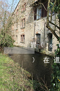 實(shí)在還不上錢怎么辦(實(shí)在還不上錢怎么辦)