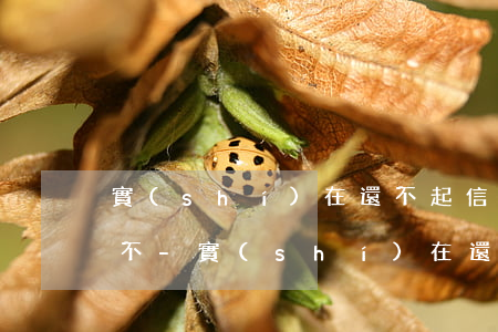 實(shí)在還不起信用卡可以申請延期不-實(shí)在還不起信用卡可以申請延期不還嗎