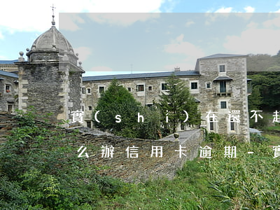 實(shí)在還不起錢(qián)了怎么辦信用卡逾期-實(shí)在還不起錢(qián)了怎么辦信用卡逾期了