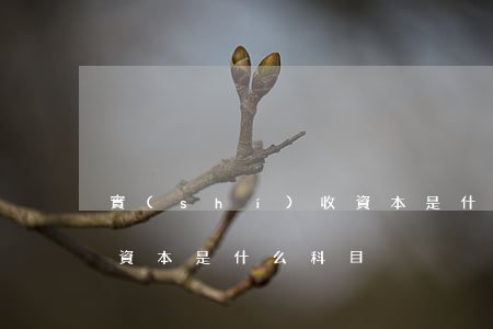 實(shí)收資本是什么(實(shí)收資本是什么科目)
