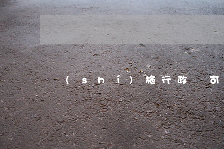 實(shí)施行政許可特別程序