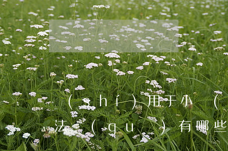 實(shí)用于小學(xué)生的法律法規(guī)有哪些(對(duì)小學(xué)生的法律知識(shí)有哪些)