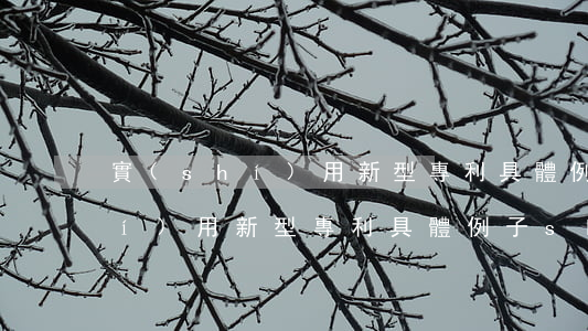 實(shí)用新型專利具體例子(實(shí)用新型專利具體例子 slam)