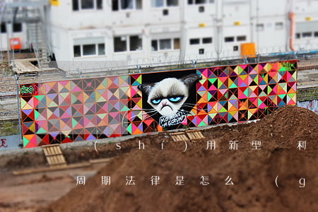 實(shí)用新型專利申請(qǐng)周期法律是怎么規(guī)定的
