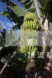 實(shí)用新型專利轉(zhuǎn)讓流程(新型實(shí)用型專利申請(qǐng)流程)
