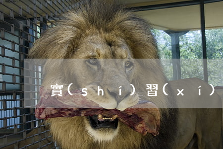 實(shí)習(xí)合同