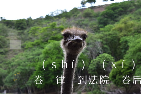 實(shí)習(xí)律師可以去法院閱卷嗎(律師到法院閱卷后多久開(kāi)庭)