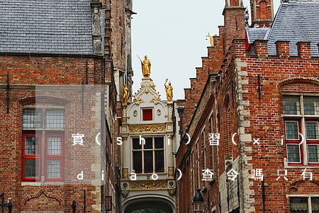 實(shí)習(xí)律師可以申請調(diào)查令嗎(只有律師才可以申請調(diào)查令嗎)