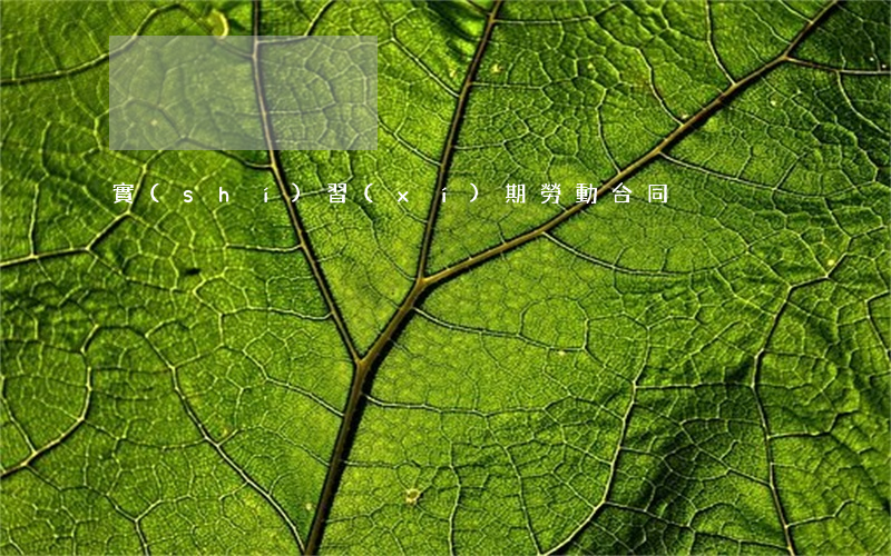 實(shí)習(xí)期勞動合同