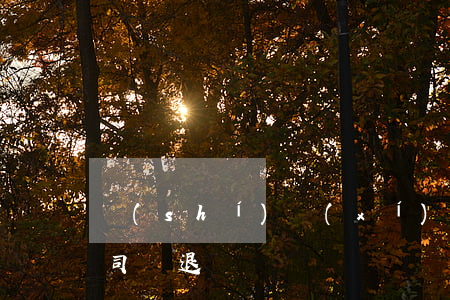 實(shí)習(xí)期間懷孕員工被公司辭退