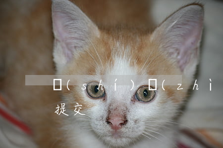 實(shí)質(zhì)審查申請書如何提交