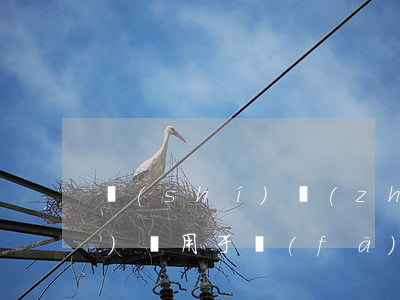 實(shí)質(zhì)審查費(fèi)適用于發(fā)明專利申請與實(shí)用新型專利申請嗎