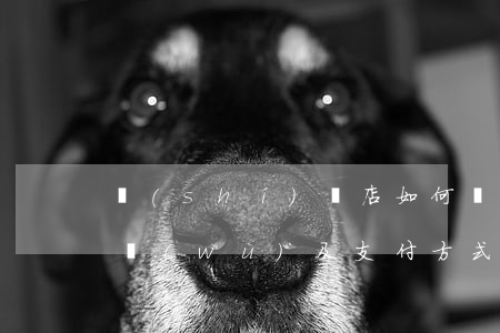 實(shí)體店如何開展分期業(yè)務(wù)及支付方式？