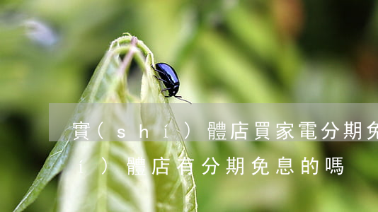 實(shí)體店買家電分期免息(實(shí)體店有分期免息的嗎)