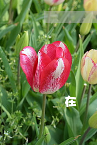 實在沒錢還網(wǎng)貸怎么辦(實在沒錢還網(wǎng)貸怎么辦?可以協(xié)商嗎)