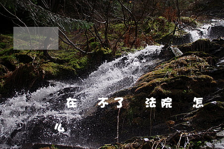 實在還不了錢法院會怎樣(錢還不起,法院會怎么樣)