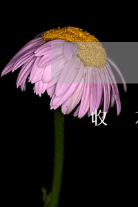 實收資本是什么(銀行的實收資本是什么)