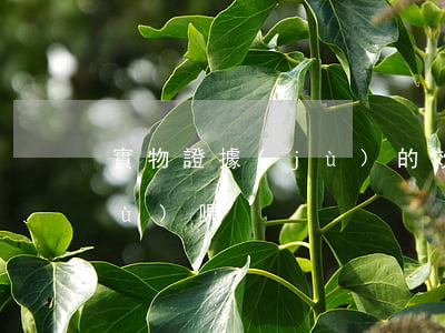 實物證據(jù)的效力大于言詞證據(jù)嗎