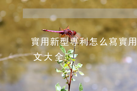 實用新型專利怎么寫(實用新型專利申請書范文大全)