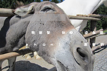 實用新型專利申請迫在眉睫！2019年準(zhǔn)備報高新的公司請注意