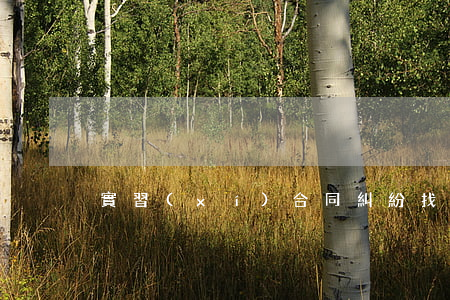 實習(xí)合同糾紛找哪個部門