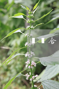 實習合同模板匯編七篇